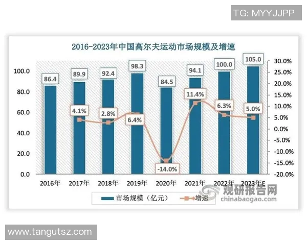 武汉排球队个人能力深度对比分析与发展潜力探讨