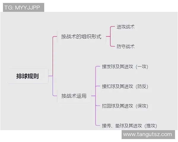 深圳排球队防守战术深度解析与实战应用探讨