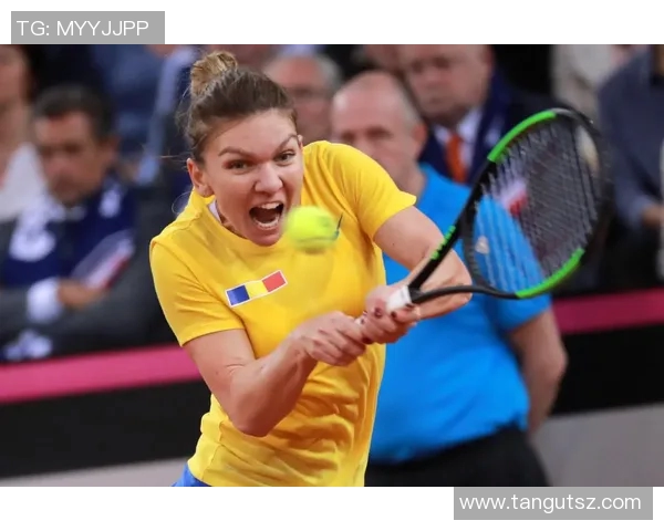 西安网球队以86分稳居联合会杯积分榜首位展现强劲实力