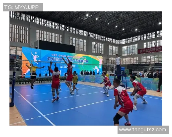 杭州排球队的精神力量与团队意识探讨：排球运动中的团结与奋斗