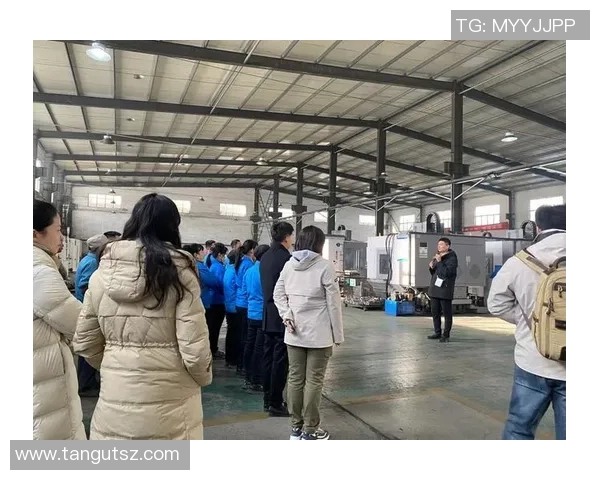 杭州羽毛球队的拼搏历程与大师赛荣耀之路