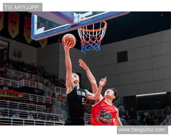 杭州篮球队的耐力之谜揭晓：巨献背后的训练与坚持