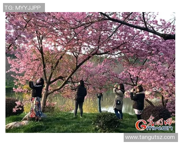 武汉网球队的速度之美:探索他们的训练与比赛背后的故事