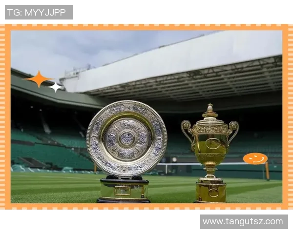 成都网球队的辉煌崛起与冠军赛背后的奋斗故事